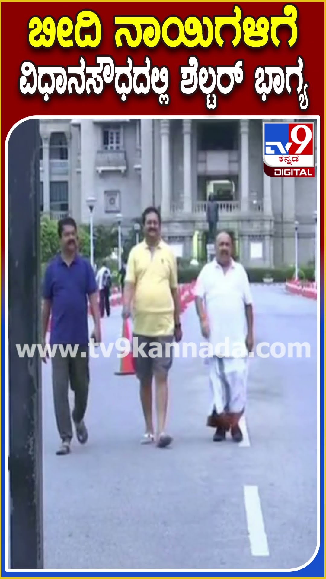 ಬೀದಿ ನಾಯಿಗಳಿಗೆ ವಿಧಾನಸೌಧದಲ್ಲಿ ಶೆಲ್ಟರ್ ಭಾಗ್ಯ! #Vidhanasoudha #TV9D