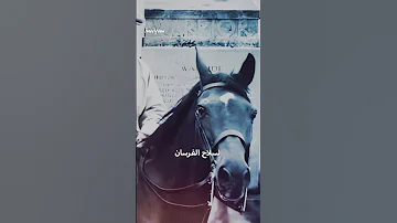 قصة الحصان الذي لم يستطع الألمان قتله 