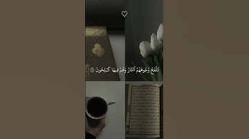 تلاوة خاشعة جميلة بصوت ماهر المعيقلي | #قران_كريم #ارح_قلبك #ارح_سمعگ