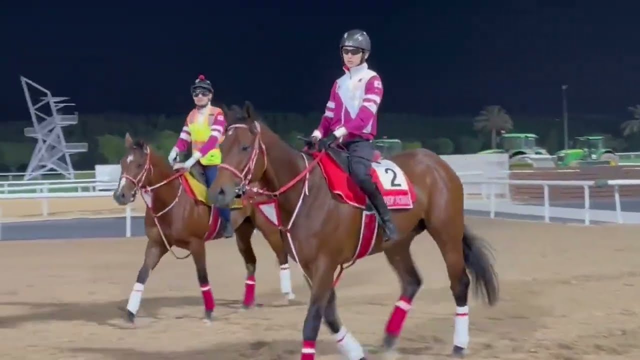Forever Young Getting Dubai World Cup Ready 