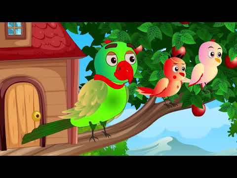 चिड़िया का जादुई बांस 🐤 Bambooघर | ranu chidiya new cartoon chidiya cartoon picture chidiya cartoon 