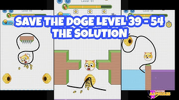 SAVE THE DOGE LEVEL 39 - 54 THE SOLUTION