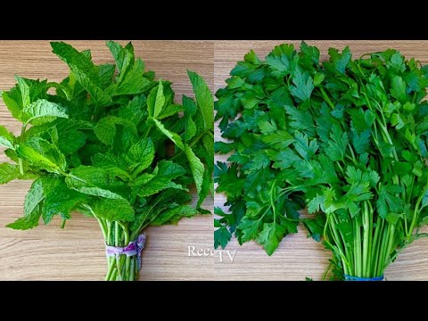 Video: Cómo mantener hierbas frescas en el refrigerador