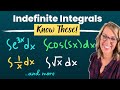 Must Know Indefinite Integral Rules | Getting Started with Integrals