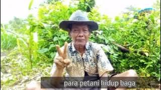 Story wa slank pak tani