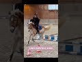 Dressurpferd auf dem Sprung - und eine unausweichliche Frage