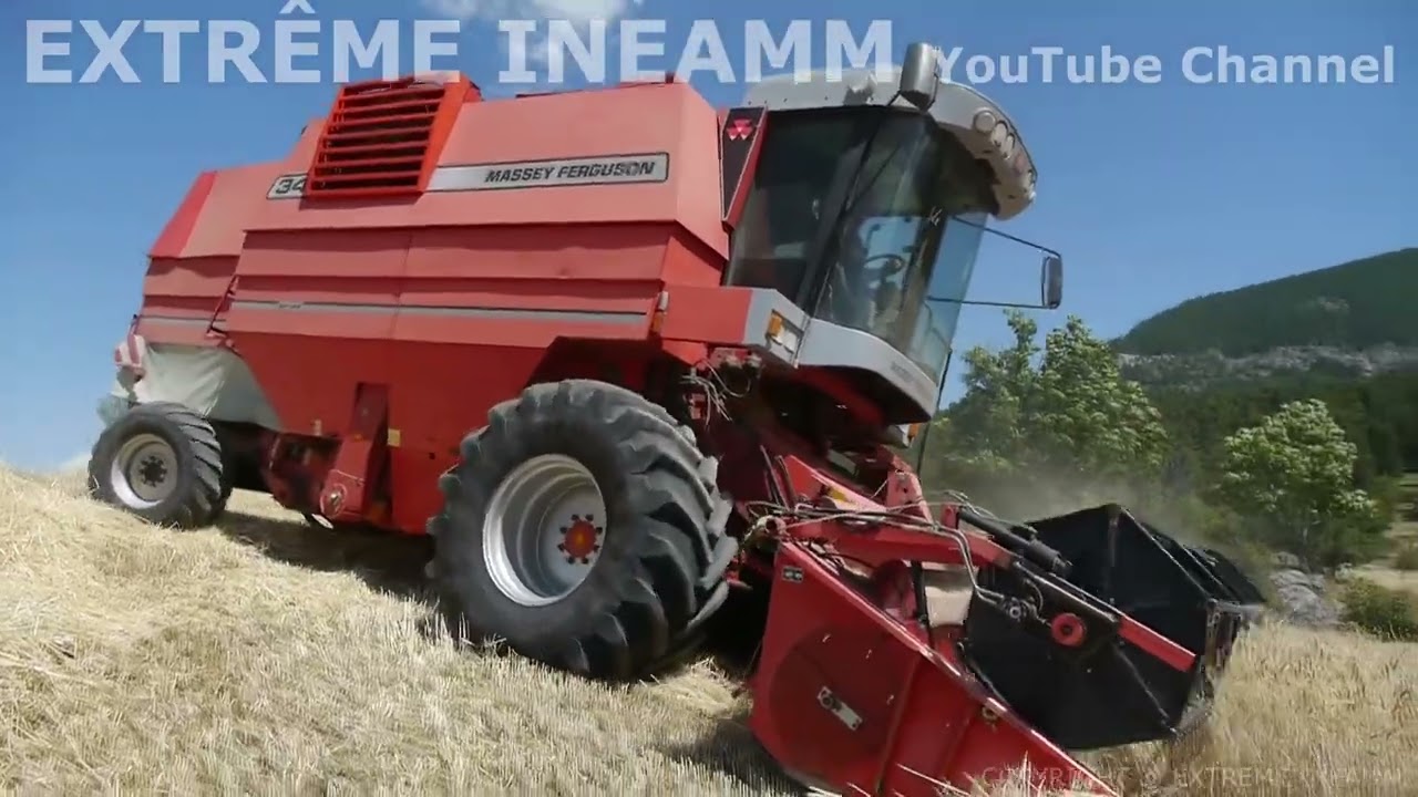MOISSON RECORD 💪💪 Massey Ferguson 34 4x4 en montagne 