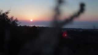 Finca Los Rincones