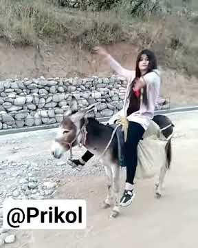 Qizlar eshak teshigi Qizlar eshak teshigi