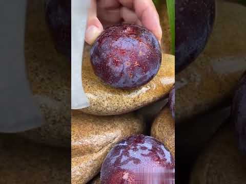 انظر لهذه الفاكهه تشبه التفاح من الداخل