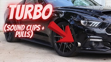 SINGLE TURBO MUSTANG BUILD IS INSANE!! #mustang #turbo #boosted #stangry