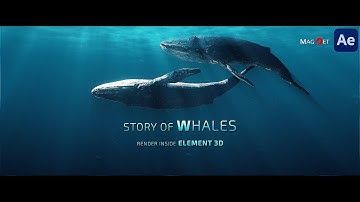 Story of Whales II Element 3D render II Teaser II After effect