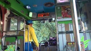 横浜ズーラシア Zoorasia 園内バスに乗ってみた View From Shuttle Bus Zoo Japan Youtube
