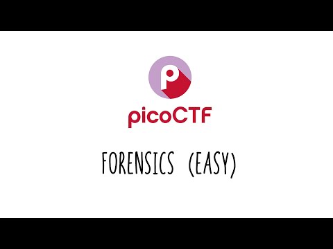 [PicoCTF 2021] [Writeups] - Forensics (Easy) - FR