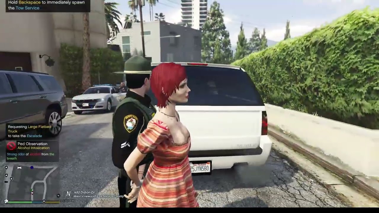 Sheriff Saturday Patrol (LSPDFR)