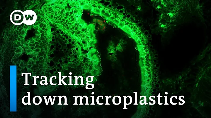 How dangerous are microplastics? | DW Documentary - DayDayNews