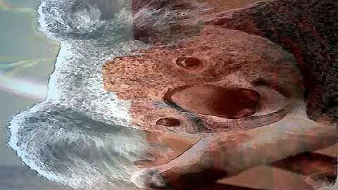 videoplayback (2).webm