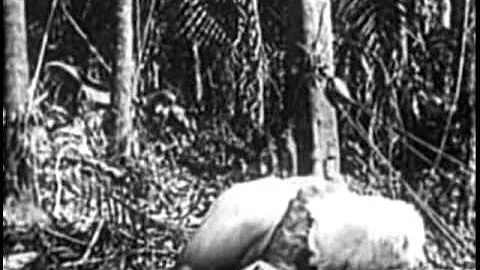 Como Robinson Crusoe se alimenta na ilha?