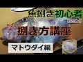 マトウダイの捌き方を初心者向けに解説します【魚屋によるさばきかた】