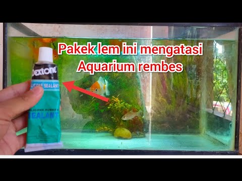 CARA MEMPERBAIKI AQUARIUM YANG RETAK/BOCOR/PECAH. 