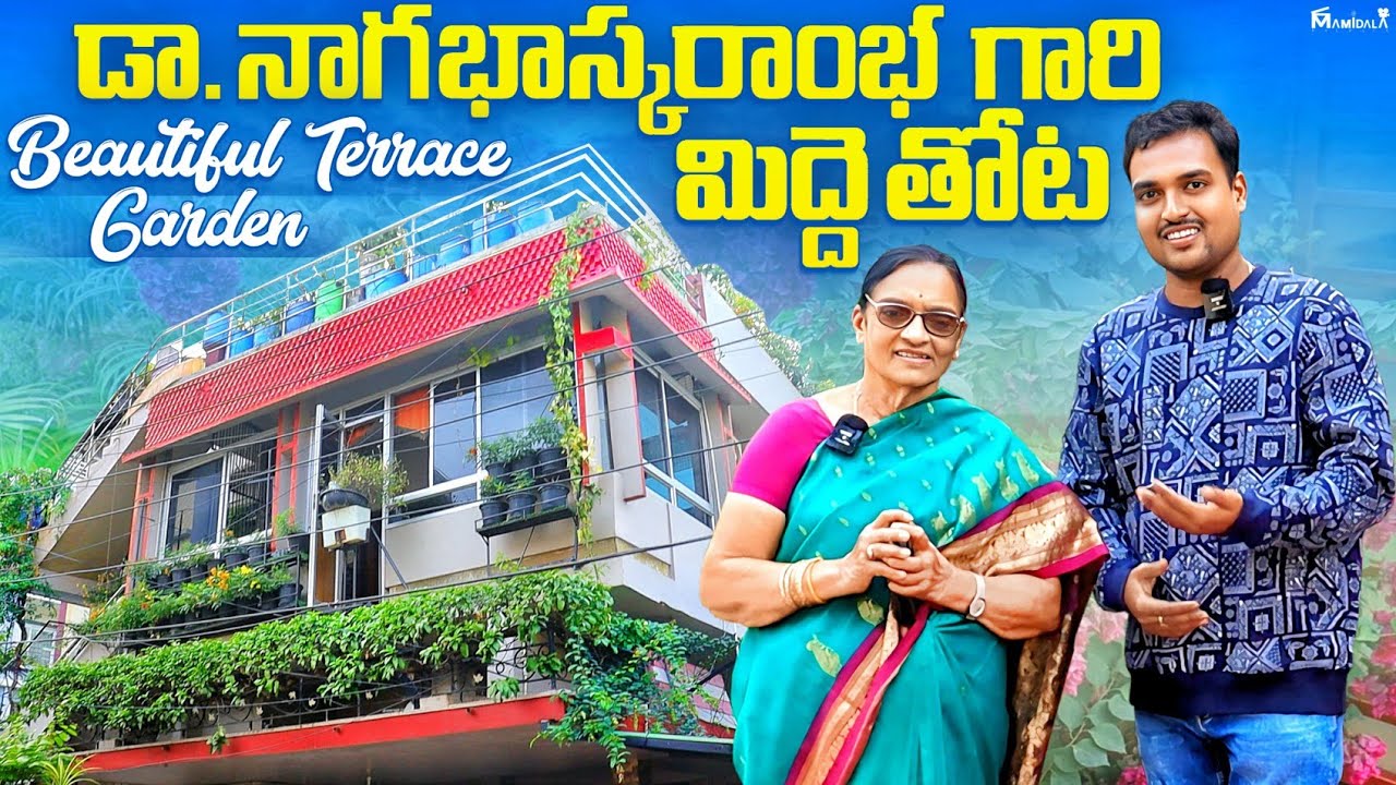 Терраса-сад доктора Нагабхаскармы. Прекрасный террасный сад с растениями по всему дому.