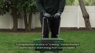 What is the 1/3 rule in lawn care in Charlottesville?LC Marshall And Sons Landscaping & Development