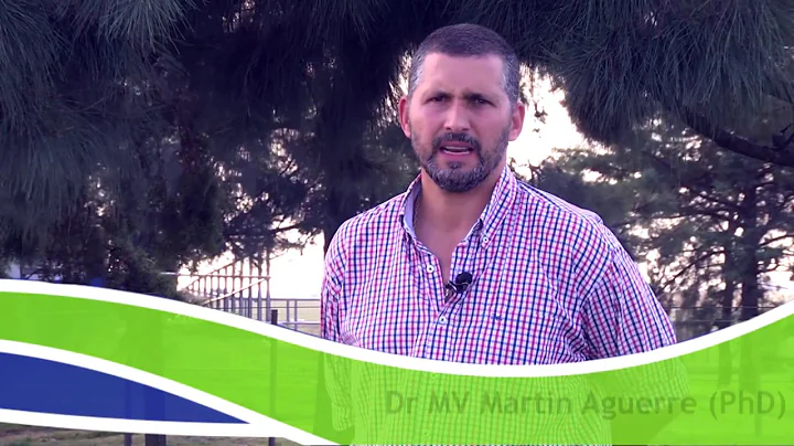 Dr MV Martin Aguerre PhD VIDEO 01