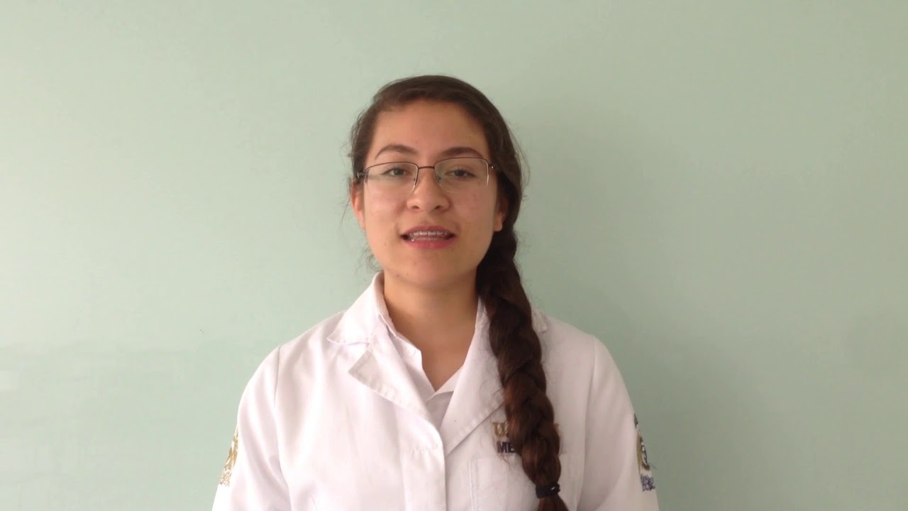 Desarrollo de extremidades