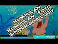 33+ Gambar Lucu Spongebob Dan Patrick