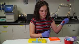 Chehalis Schools: STEM Success and Ashlynn Gallagher Chehalis School District