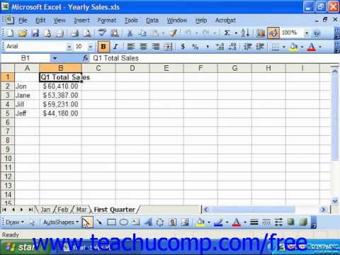 Excel 2003 Tutorial Renaming Spreadsheets Microsoft Training Lesson 14.4