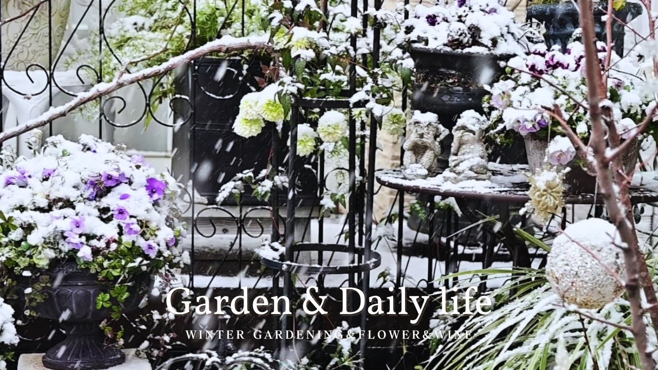 #14【Garden&Dailylife Vlog】冬の寄せ植え/冬のガーデニング/球根のデッカー植え/花のある暮らし/ワインのある暮らし