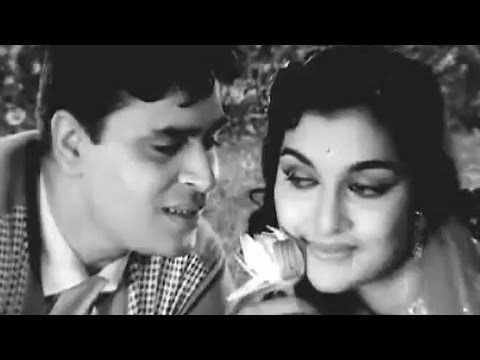 Husnwale Tera Jawab Nahin   Md Rafi Rajendra Kumar Asha Parekh Gharana Song 1