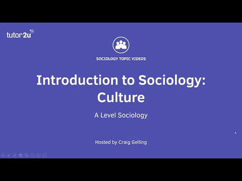 Video: The level of culture and its concept