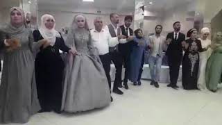Muş Malazgirt Düğünü