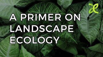 A Primer on Landscape Ecology