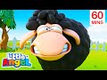 Baa baa black sheep  60 minutes of little angel  best animals  kids nursery rhymes