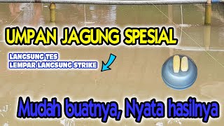 UMPAN JAGUNG SPESIAL LOMBA MANCING IKAN MAS LANGSUNG TES, GAMPANG BUATNYA NYATA HASILNYA