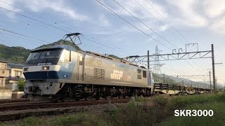 JR貨物 EF210-108号機+チキ12B 貨物列車8091レ 広島→幡生 2018.5