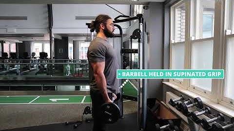 How To Do Barbell Drag Curl | Exercise Demo