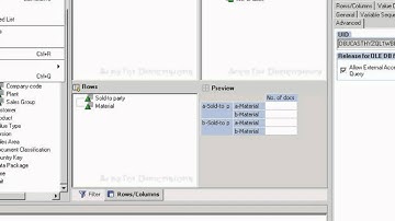 Xcelsius and BW with Live Office: step 1 (Query designer)