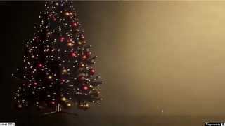 Tapperworks Xmas Tree