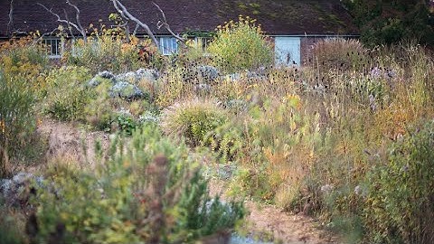 Wild within walls: The garden at Knepp