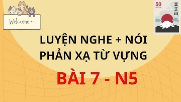 N5 - Bài 7: NGHE + PHẢN XẠ từ vựng