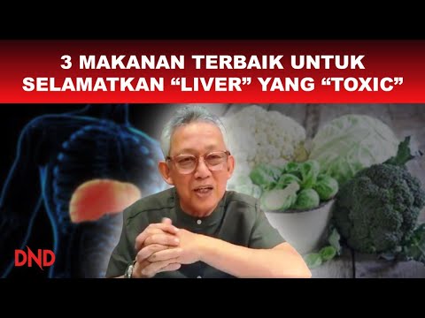 Video: Kenapa Omega-3 Boleh Membantu Anjing Yang Sentiasa Mengambil Pawinya