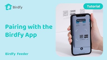 How to Pair Your Birdfy Feeder with the Birdfy App - Birdfy Feeder Tutorial