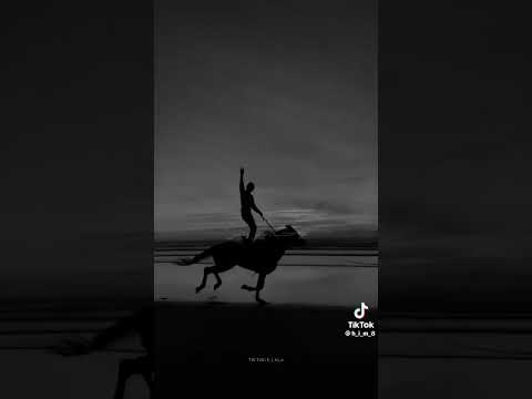 راكب دماغي ودايس مزاجي في الطالع خالص عبدالباسط حموده