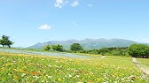 Toi Et Moi トワ エ モワ Seishun No Ayamachi 青春のあやまち Youtube Toi Et Moi トワ エ モワ Seishun No Ayamachi 青春のあやまち Youtube