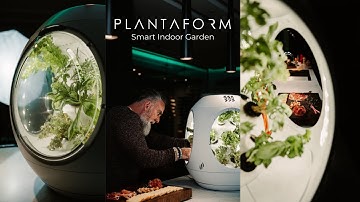 Meet Plantaform, The Future of Indoor Gardening!