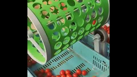 An interesting device for sorting tomatoes in terms of size